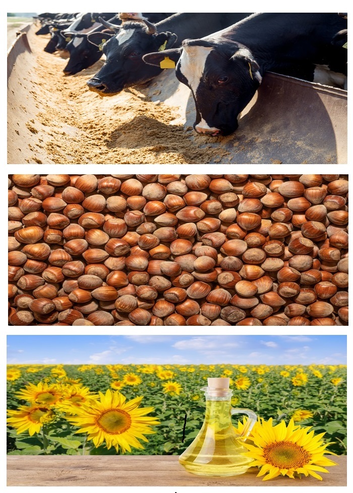 Agriculture2.jpg